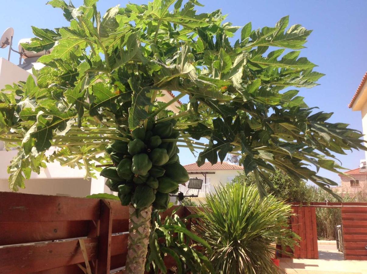Carolyn Villa Is A Luxury 4-Bedroom Villa With Private Pool In Ayia Napa Eksteriør billede